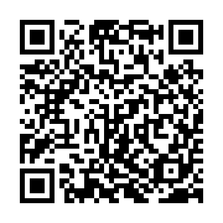 QR code for plate ZHS 250