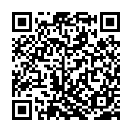 QR code for plate ZHU 207