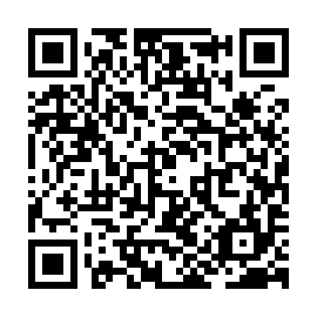 QR code for ZIU 994