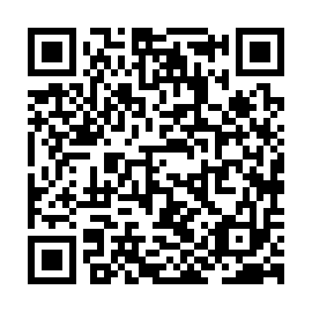 QR code for ZIX 313