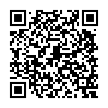 QR code for plate ZJJ 490