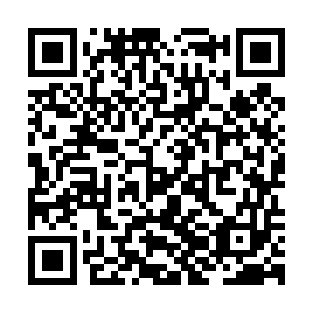 QR code for ZJK453