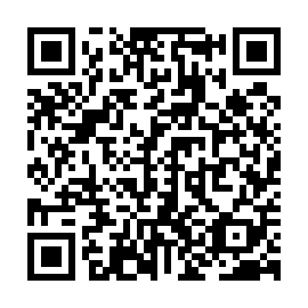 QR code for plate ZKG 509
