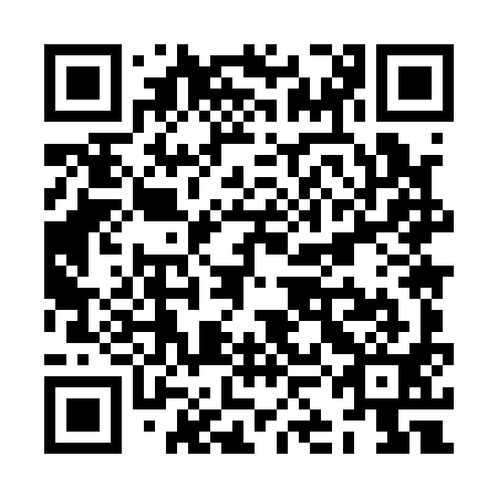 QR code for ZKM 191