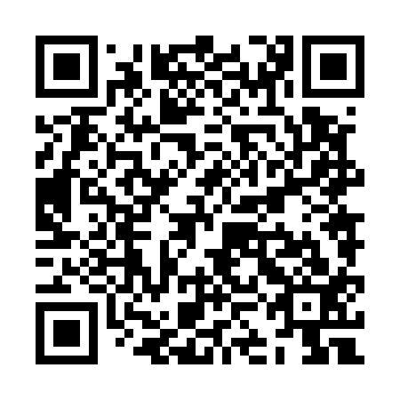 QR code for plate ZKN 513