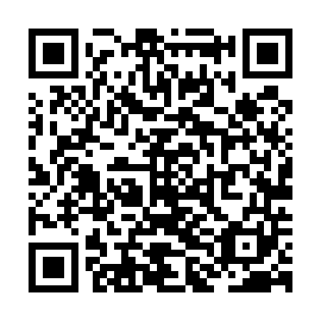 QR code for ZLL 541