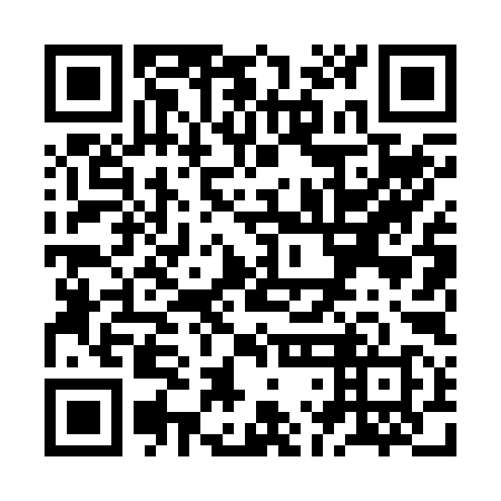 QR code for plate ZLL 298