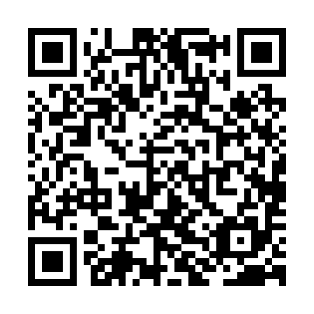 QR code for ZLP 295