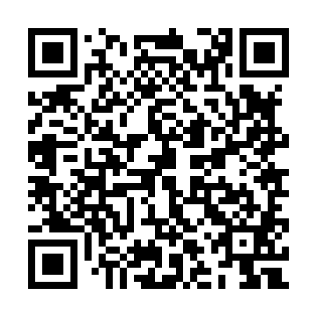 QR code for ZLZ 881