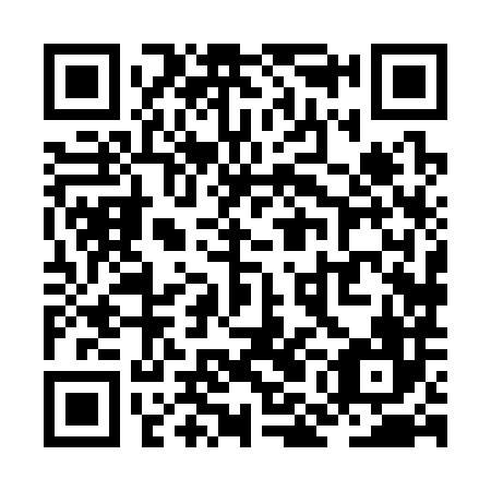 QR code for plate ZMH 386
