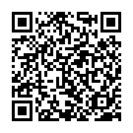 QR code for ZMW 210