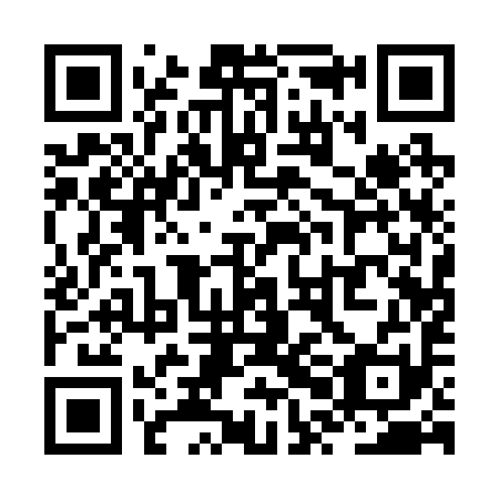 QR code for ZPA 291
