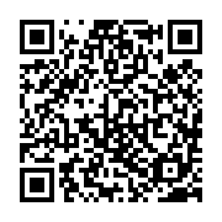 QR code for plate ZPH 495