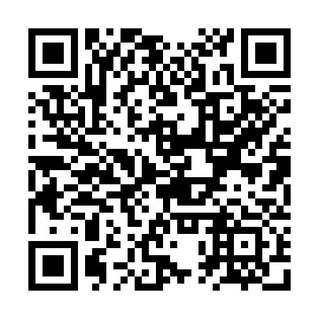 QR code for ZPP333