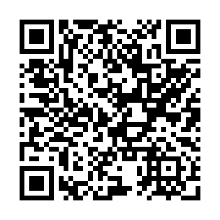 QR code for ZPR 291