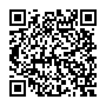 QR code for plate ZPS 595