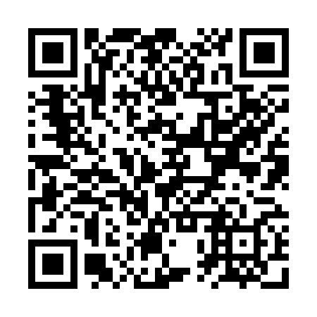 QR code for ZPZ368