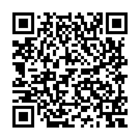 QR code for ZQI991