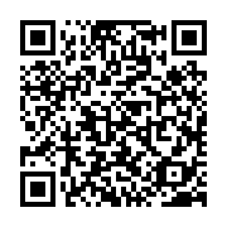 QR code for ZQR238