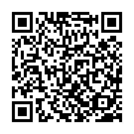 QR code for plate ZRX 509