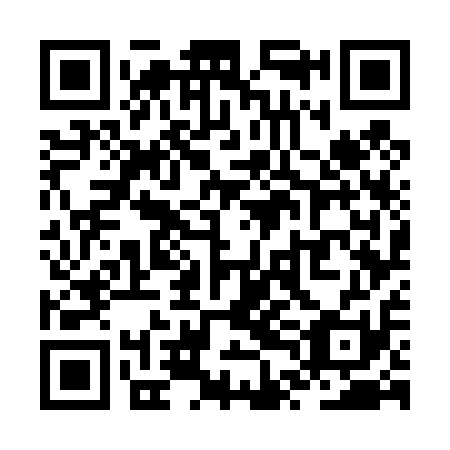 QR code for ZTG 411