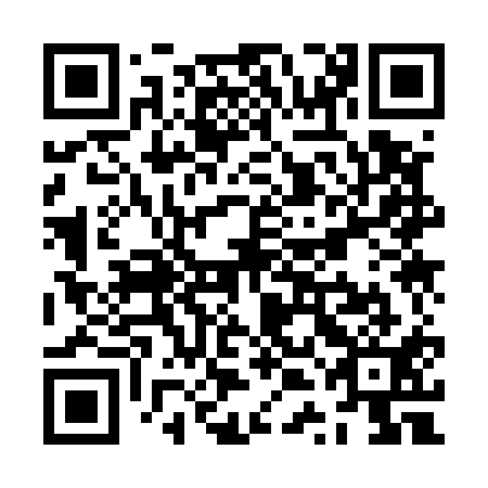 QR code for ZTK511
