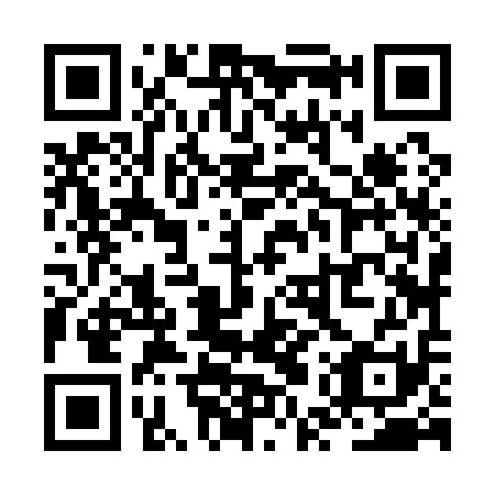 QR code for ZUZ111