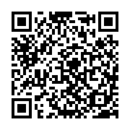 QR code for plate ZVX 291