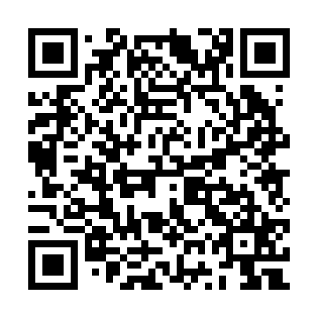 QR code for ZWP225