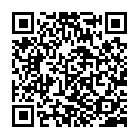 QR code for ZXL 728