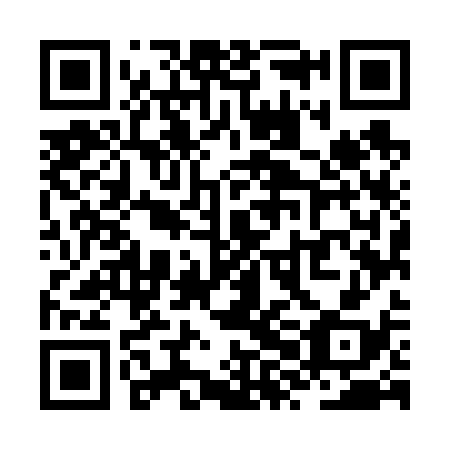 QR code for ZXM638