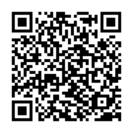 QR code for ZXN 809