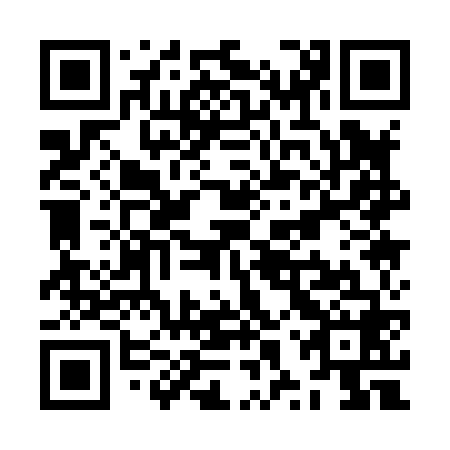 QR code for ZXQ868