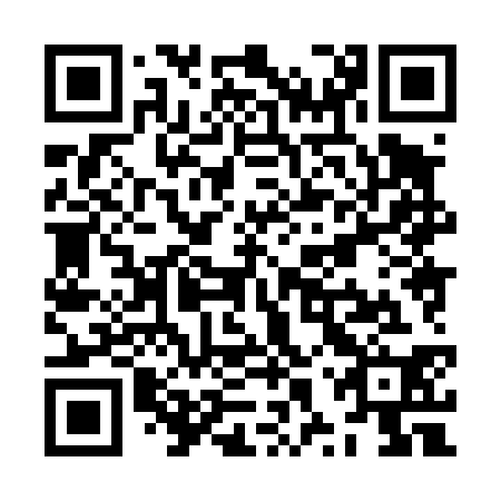 QR code for ZXX 430
