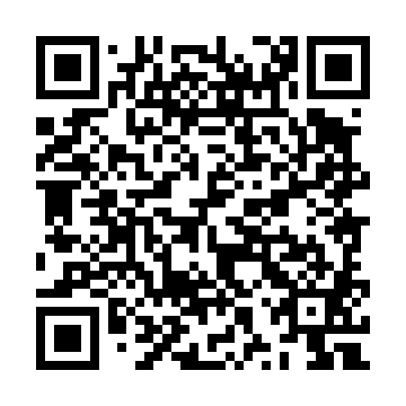 QR code for ZXX 481