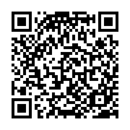 QR code for ZYC307