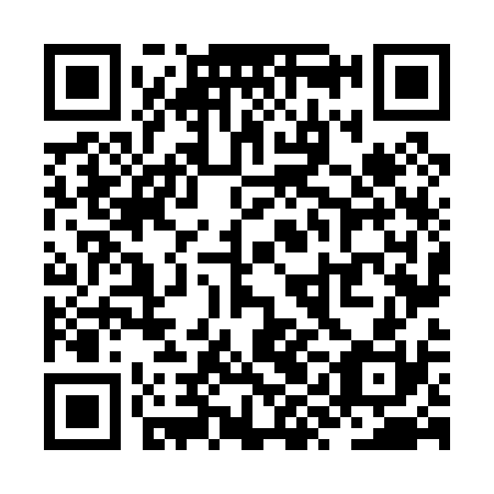 QR code for ZYN 030