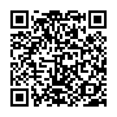 QR code for ZYT 029