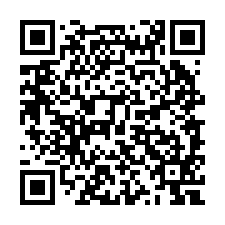 QR code for ZZD 295