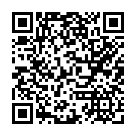 QR code for ZZI387