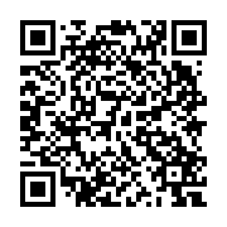QR code for ZZY 607