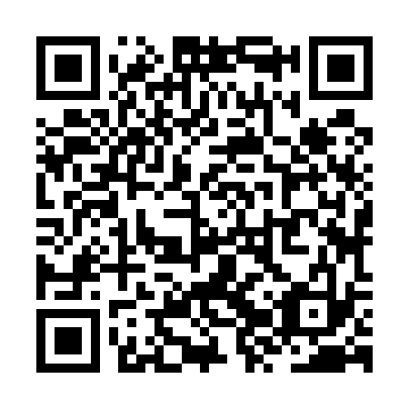 QR code for ZZZ 533