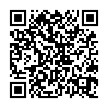 QR code for plate 10G ON0