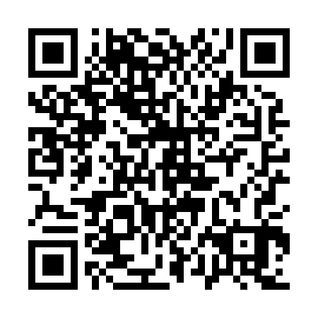 QR code for plate 10H X03