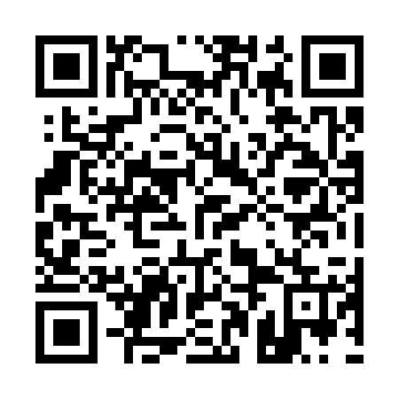 QR code for plate 10J 325