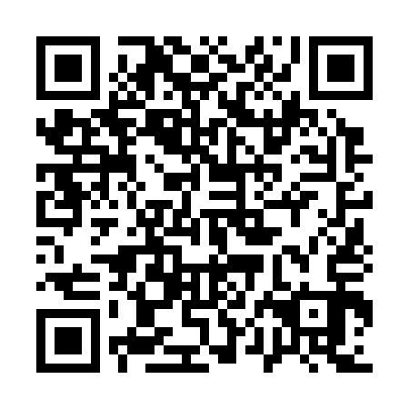 QR code for 10N 313