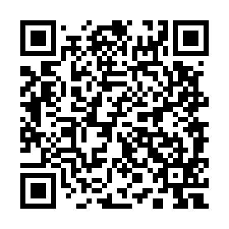 QR code for 10N 595