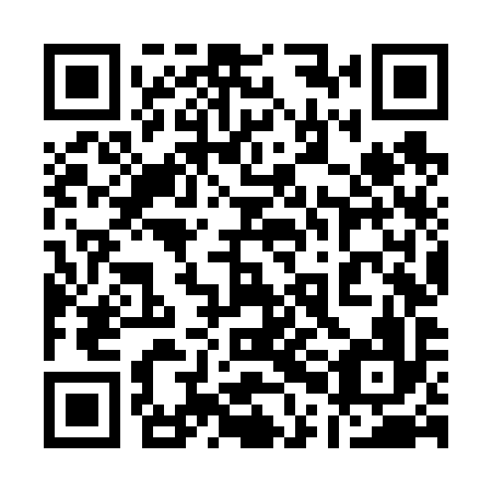 QR code for plate 10N V96