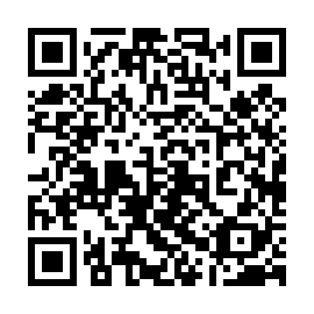 QR code for 10P 428