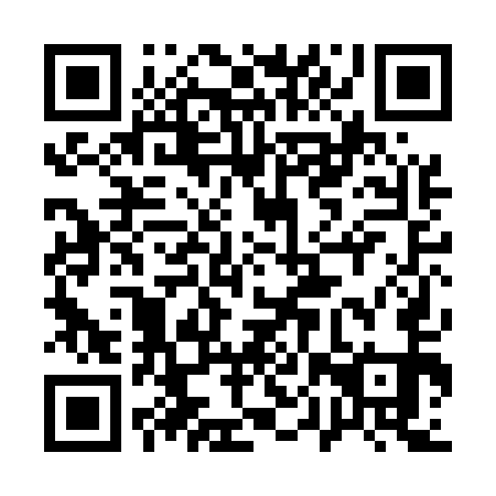 QR code for plate 10P E51